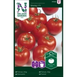 Tomat, Hög 'Shirley' F1