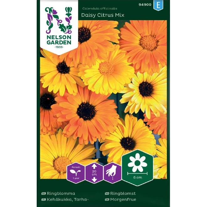 Ringblomma Daisy Citrus Mix 3 Ringblomma Daisy Citrus Mix