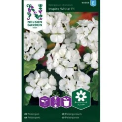 Pelargon 'Inspire White' F1