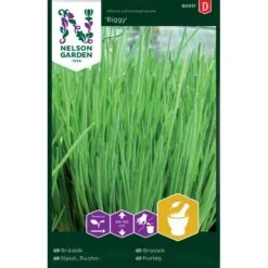 Gräslök 'Biggy'