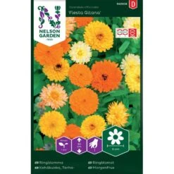 Ringblomma 'Fiesta Gitana'