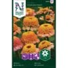 Zinnia 'Zinderella Peach' -Trädgårdsmateriel Försäljning 2024 166f1cf463cb34de0c42f69a8f07285b