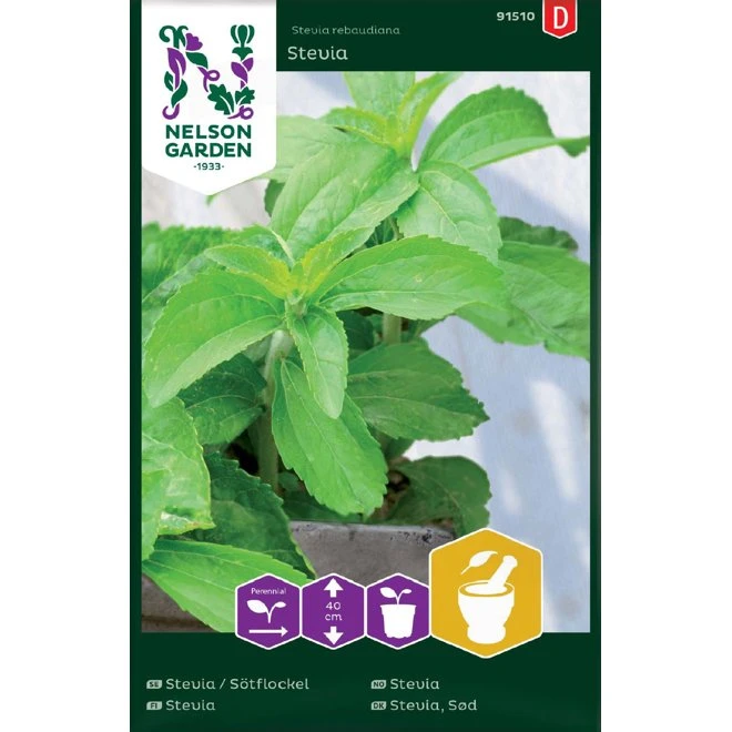 Stevia / Sötflockel Stevia 3 Stevia / Sötflockel Stevia