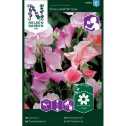 Luktärt Stars And Stripes