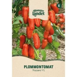 Plommontomat 'Pozzano' F1