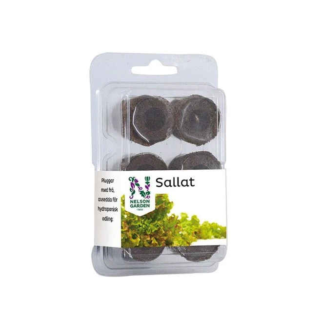 Odlingsplugg Med Sallat 'Lollo Rossa' 3 Odlingsplugg Med Sallat 'Lollo Rossa'