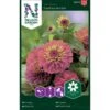 Zinnia 'Sunbow Purple'