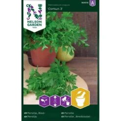 Bladpersilja 'Comun 3'
