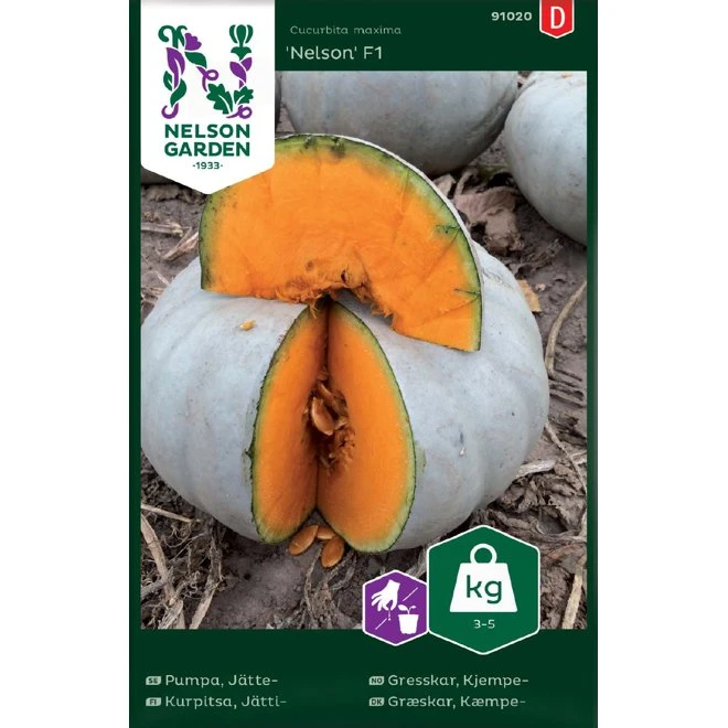 Jättepumpa 'Nelson' F1 3 Jättepumpa 'Nelson' F1