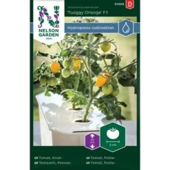 Kruktomat 'Twiggy Orange'