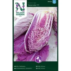 Salladskål 'Scarvita' F1