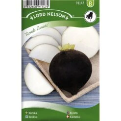 Rättika 'Ronde Zwarte'