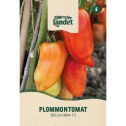 Plommontomat 'Bellandine' F1