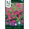 Hängpetunia 'Showers Burgundy' -Trädgårdsmateriel Försäljning 2024 38020ea658d844620657ba302e6c2771