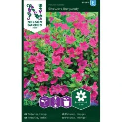 Hängpetunia 'Showers Burgundy'