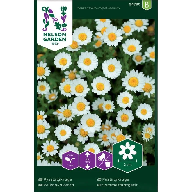 Pysslingkrage 3 Pysslingkrage