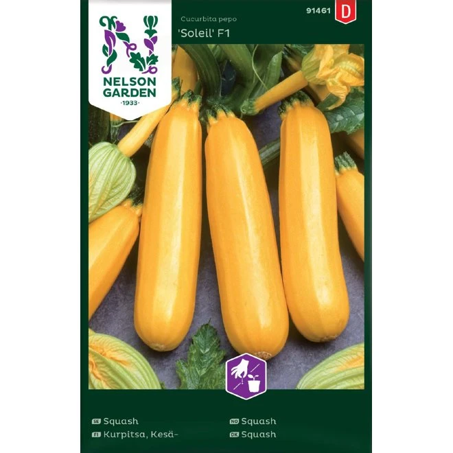 Squash 'Soleil' F1 3 Squash 'Soleil' F1