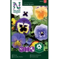 Pensé 'Florist Strain'