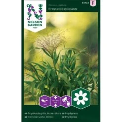 Prydnadsgräs 'Frosted Explosion'