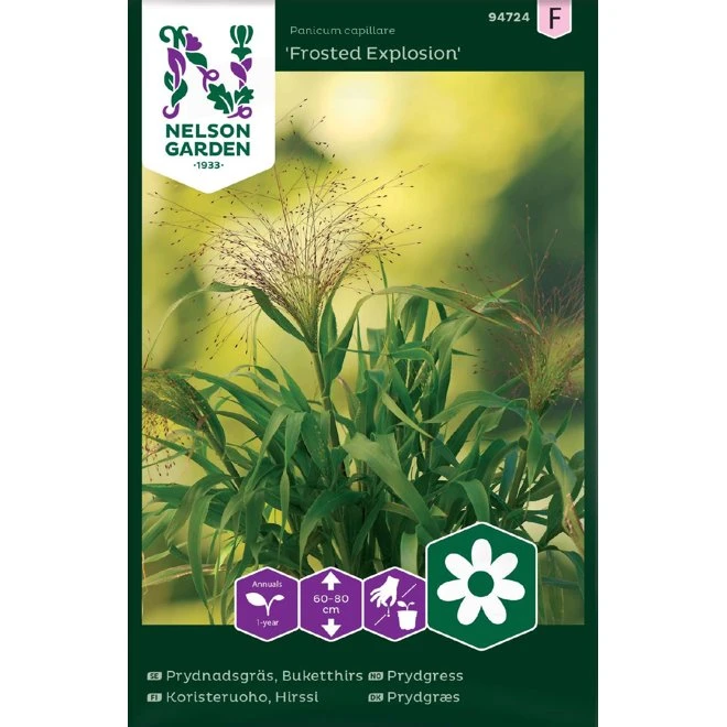Prydnadsgräs 'Frosted Explosion' 3 Prydnadsgräs 'Frosted Explosion'