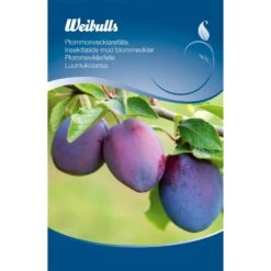 Feromonfälla Mot Plommonvecklare