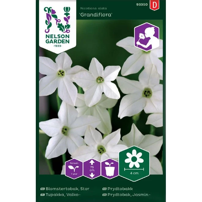 Blomstertobak 'Grandiflora' 3 Blomstertobak 'Grandiflora'