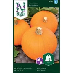 Halloweenpumpa 'Baby Bear'