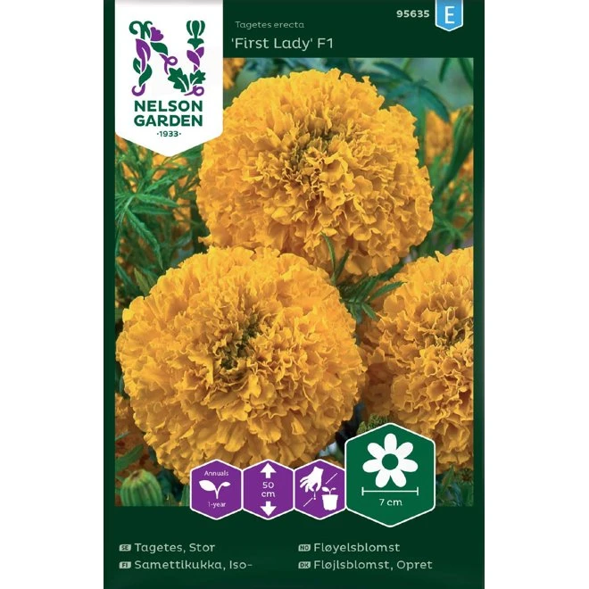 Tagetes, Stor 'First Lady' F1 3 Tagetes, Stor 'First Lady' F1