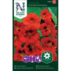 Buskkrasse 'Whirlybird Mahogny'