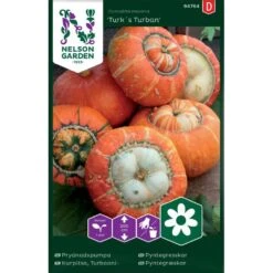 Prydnadspumpa 'Turk´s Turban'