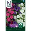 Petunia 'Picobella' F1 -Trädgårdsmateriel Försäljning 2024 5bbbdc7ae592265b5ec7ea876df57658