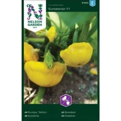 Tefatspumpa 'Sunseanse'