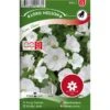 Sommarmalva 'Mont Blanc' -Trädgårdsmateriel Försäljning 2024 5fc1005b120f8c89bf65c9c6b9e029ea