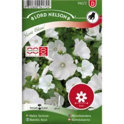 Sommarmalva 'Mont Blanc'