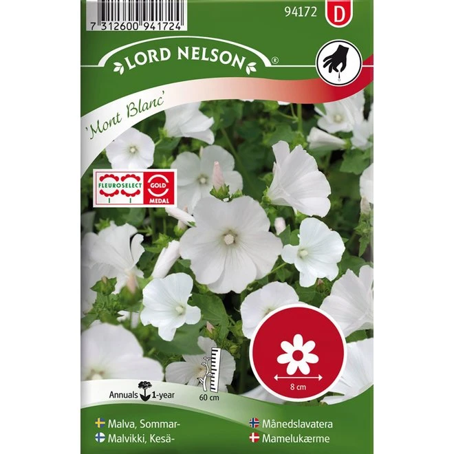 Sommarmalva 'Mont Blanc' 3 Sommarmalva 'Mont Blanc'