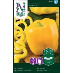 Paprika 'Luteus' F1