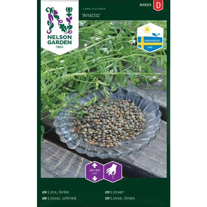 Grön Lins 'Anicia' 3 Grön Lins 'Anicia'
