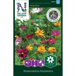 Rosenskära 'Feng Shui'