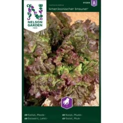 Plocksallat 'Amerikanischer Brauner'