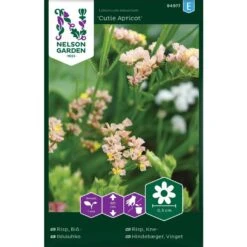 Blårisp 'Cutie Apricot'