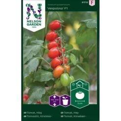 Tomat, Hög 'Vespolino' F1
