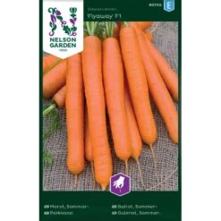 Sommarmorot 'Flyaway' F1