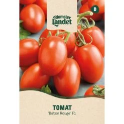 Tomat 'Baton Rouge' F1