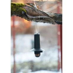 Talgbollsautomat Birdie