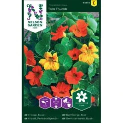 Buskkrasse Tom Thumb