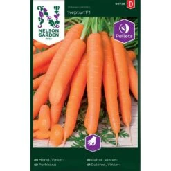 Vintermorot 'Neptun' F1 Pellets