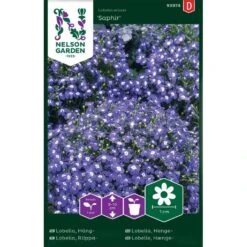 Hänglobelia 'Saphir'