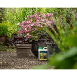 Näring För Krukväxter GroGreen