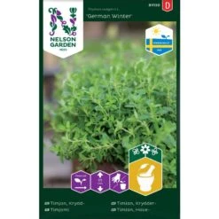 Kryddtimjan 'German Winter'