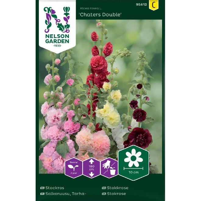 Stockros 'Chaters Double' 3 Stockros 'Chaters Double'